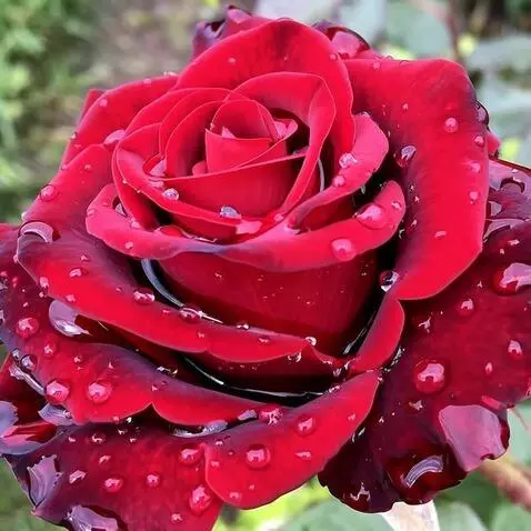 MiniMax Hailuo-02 (pro) video