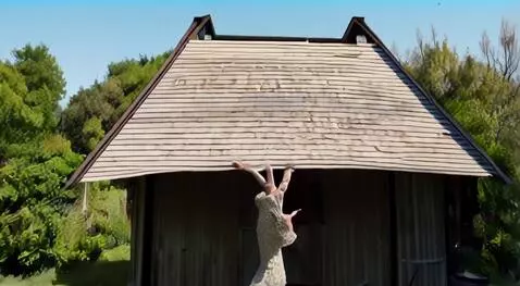 AI Video from prompt: Бабка падает с крыши при ремонте деревянного дом