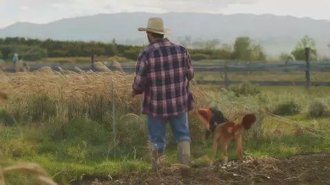 AI Video from prompt: Ass hole and big