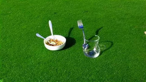 AI Video from prompt: Видео в Full HD, из неоткуда появляется, сначала