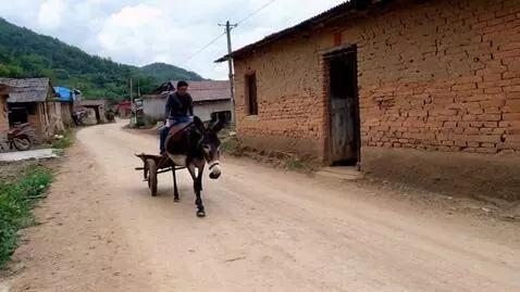 AI Video from prompt: There are two donkeys pulling a wheelbarrow on t
