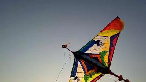 AI Video from prompt: Open on a close-up of small, determined hands ca