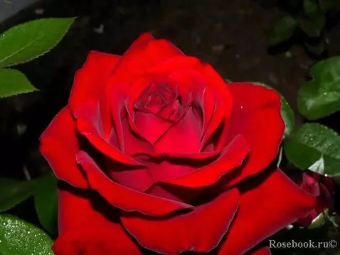 MiniMax Hailuo-02 (pro) video