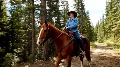 AI Video from prompt: A rider mounts a sturdy brown horse with a gloss