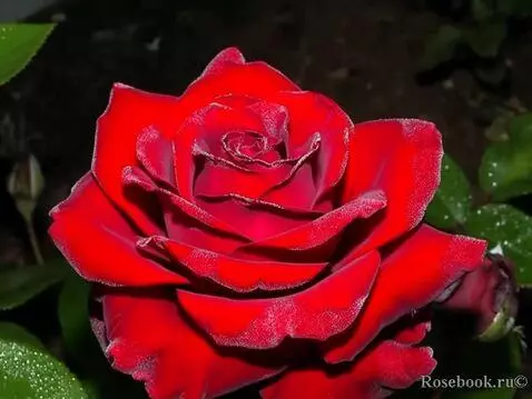 MiniMax Hailuo-02 (pro) video