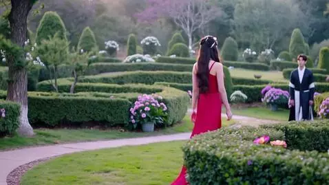 AI Video from prompt: кинематографичный клип, романтическое фэнтези. Д