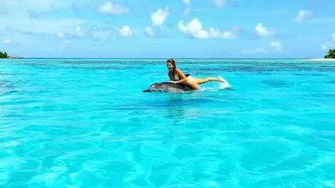 AI Video from prompt: Эта Девушка плывет  верхом на дельфине в прозрач