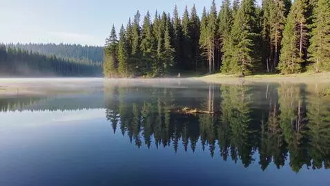 AI Video from prompt: Karelia forest and lake, perfectly still water r