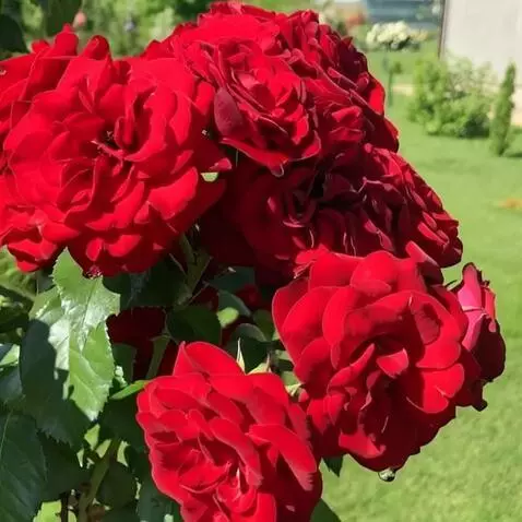 MiniMax Hailuo-02 (pro) video