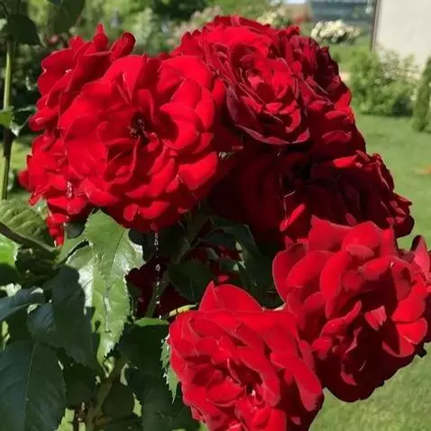 MiniMax Hailuo-02 (pro) video