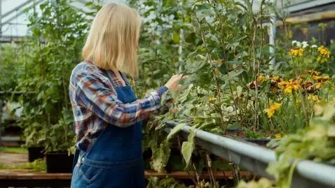 AI Video from prompt: Create a video about the sale of feeder rods