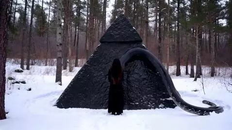 AI Video from prompt: Женщина с длинными чёрными, развивающимися на ве