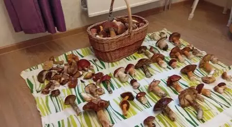 AI Video from prompt: грибы перекатываются вокруг корзинки а затем воз