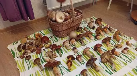 AI Video from prompt: грибы перекатываются вокруг корзинки а затем воз