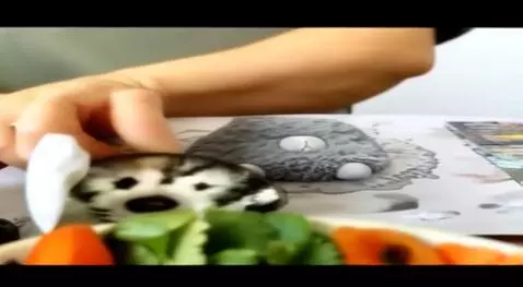 Hunyuan Video I2V video