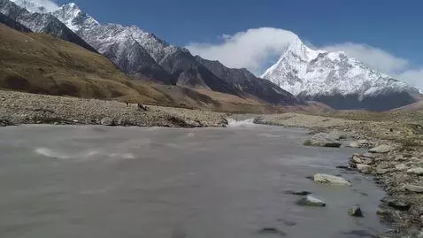 AI Video from prompt: Рак прыгает на вершину эвереста