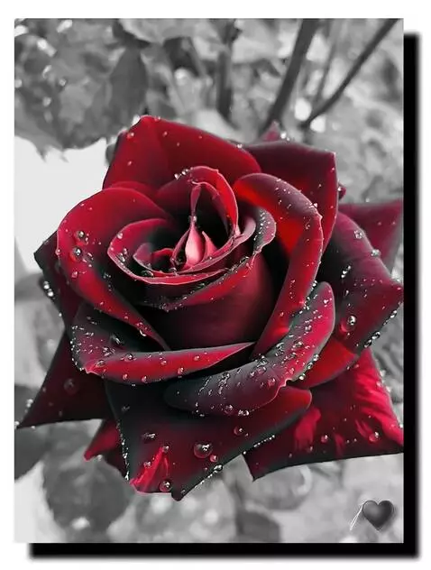 MiniMax Hailuo-02 (pro) video