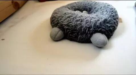 Hunyuan Video I2V video