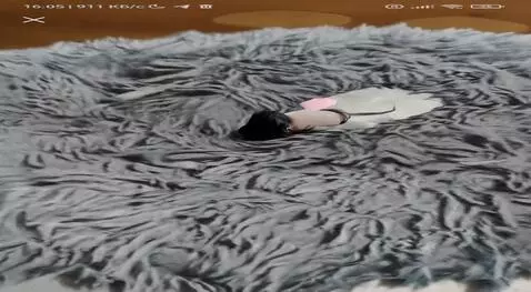 Hunyuan Video I2V video