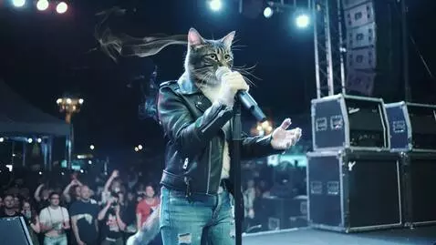 AI Video from prompt: A smoky cat in jeans and a leather jacket, holdi