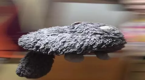 Hunyuan Video I2V video