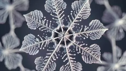 AI Video from prompt: A close-up of a single realistic snowflake with 