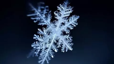 AI Video from prompt: Template. Autumn. Winter. Autumn Leaves // I Can