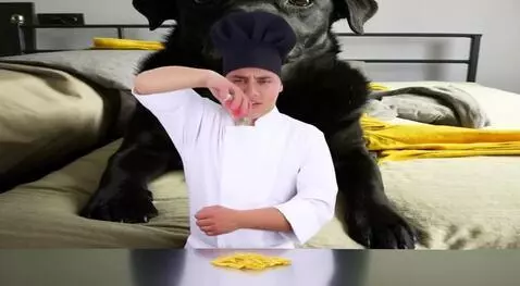 AI Video from prompt: A black Labrador dog with a serious, slightly co