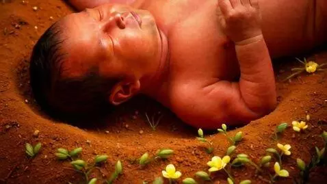 AI Video from prompt: Цвета земли — тёплые тона (коричневый, охра), пе