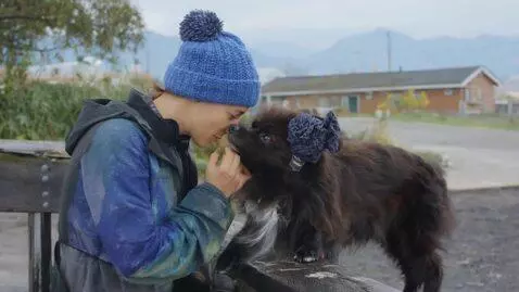 AI Video from prompt: Создай рекламу разработки сайтов и приложений