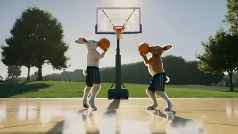 AI Video from prompt: Two rabbits are playing basketball on a sunlit c