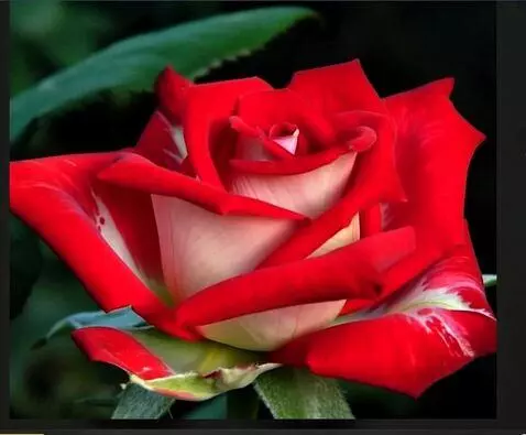 MiniMax Hailuo-02 (pro) video