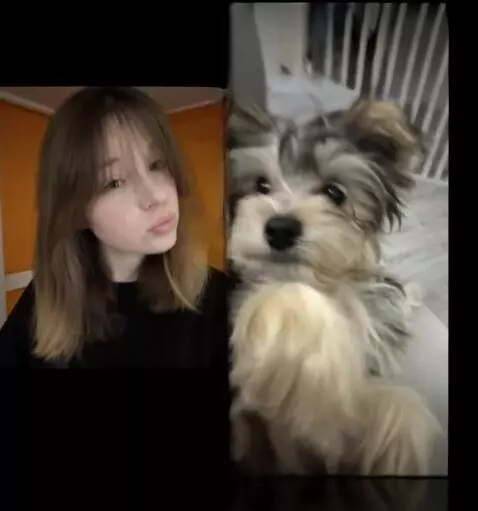 AI Video from prompt: The girl from the first photo should turn into a