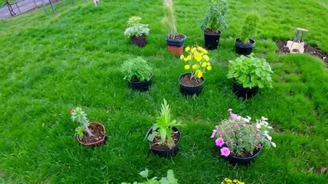 AI Video from prompt: Сборный видеоролик, где в течение недели фиксиру