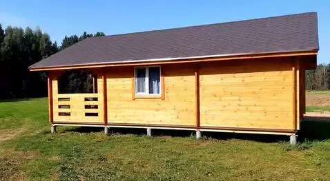 AI Video from prompt: Make a flight near the house