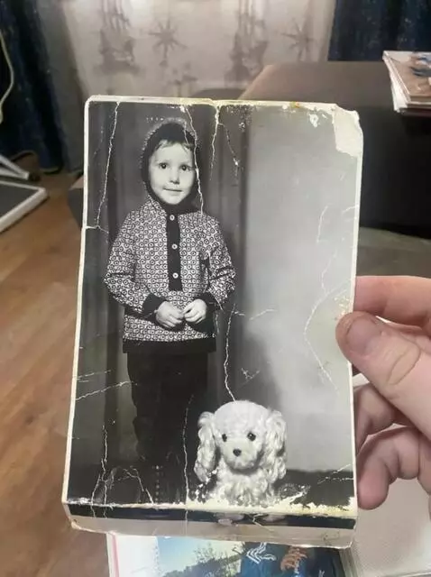 AI Video from prompt: the girl pets the dog and hugs it