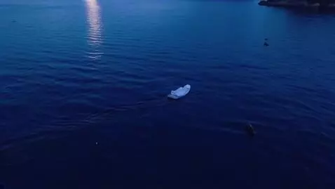 Kling 1.0 (standard) video