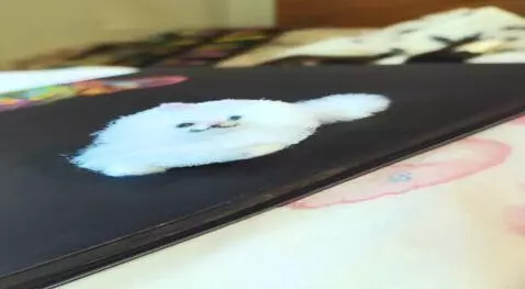 Hunyuan Video I2V video