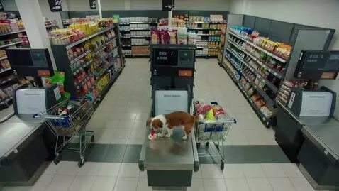 AI Video from prompt: "Wide-angle grocery store CCTV shows abandoned s
