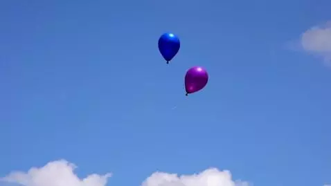 AI Video from prompt: A blue and a purple children's balloon flying up