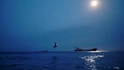 AI Video from prompt: Duration: 14s, 16:9, 1080p. Night ocean in deep 