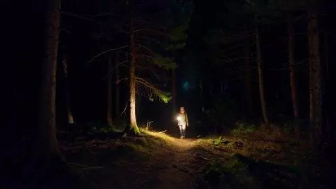 AI Video from prompt: Walking through the forest at night with a lante
