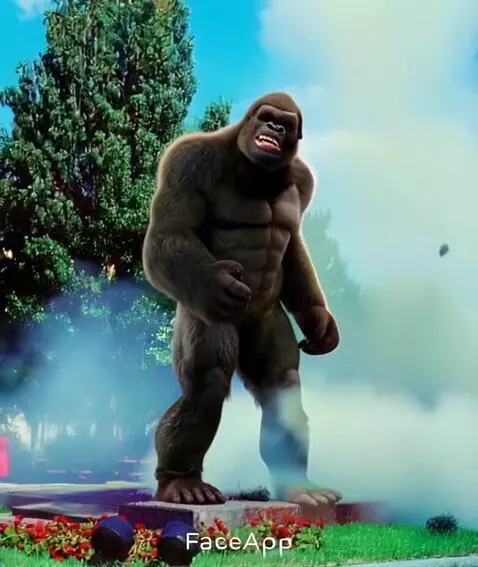 AI Video from prompt: Идёт на камеру поднимает на ходу букет цветов с 