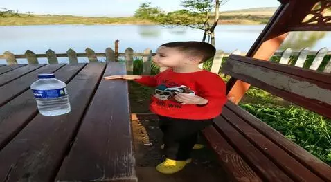 AI Video from prompt: the cat takes the bread in his hand