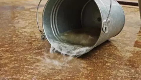 AI Video from prompt: mick the bucket