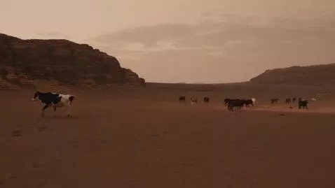 AI Video from prompt: Flying cows on the Mars