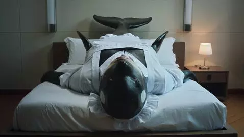 AI Video from prompt: Feral female orca in maid uniform lying on bed