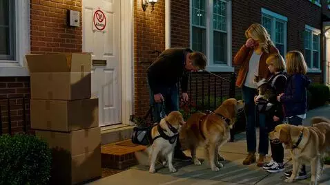 AI Video from prompt: A family with 2 cats and and dogs are not able t