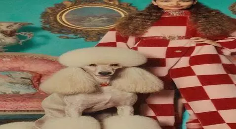 AI Video from prompt: Репортаж с недели высокой моды в Париже . Модель