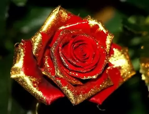 MiniMax Hailuo-02 (pro) video